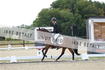 181894_mtp_02_R62_1027.JPG
