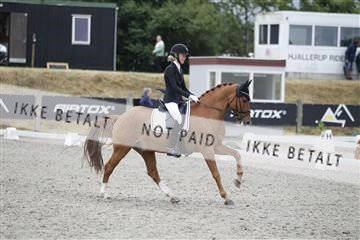 166078_rhj_01__J7R4286.JPG
