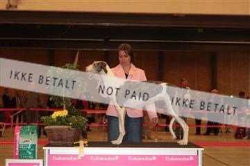 124188 _tl_02_IMG_9675.JPG