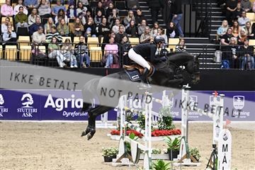 182194_kbb_02_Z099373.JPG