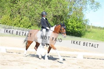 168732_mtp_01_3M5A6209.JPG