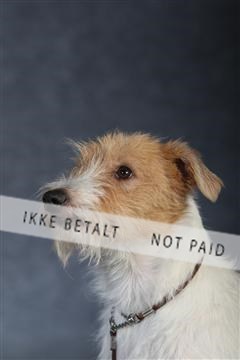 132082_le_ 01_IMG_0937.JPG