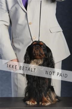 132082_le_ 01_IMG_0659.JPG