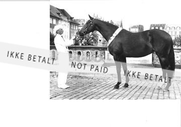 2553-24A?89 Eliteskue.jpg