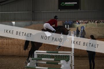 139206_kl_1_8M1Q5235.JPG