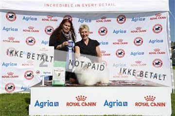 181564_kar_01__62_8121.JPG