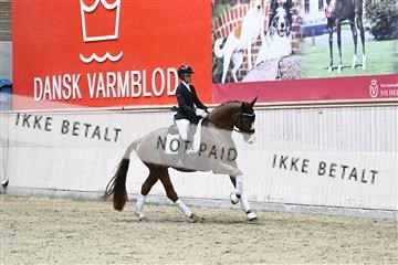 182241_kbb_01_Z094272.JPG