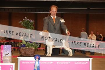 124188 _tl_02_IMG_9565.JPG