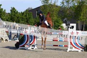 181436_avh_01_2956.JPG