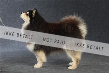 132082_le_ 01_IMG_1367.JPG