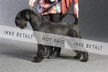 132082_le_ 01_IMG_1337.JPG