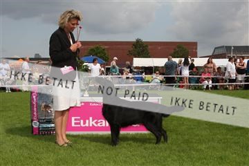 130370_le_02_IMG_8650.JPG