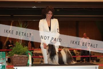 124188 _tl_02_IMG_9288.JPG