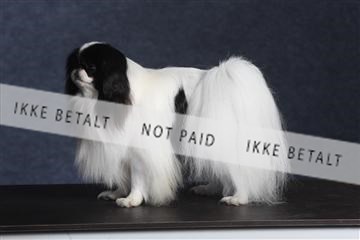 132082_le_ 01_IMG_0678.JPG