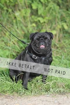 130370_se_01_IMG_5406.JPG