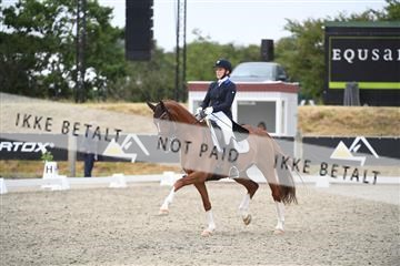 166078_kuo_02_D05_0010.JPG
