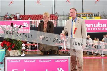 6068_ma_07_IMG_6975.JPG
