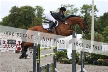 152762_nn _05_IMG_7635.JPG