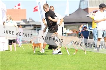 181564_rin_01_R62_0401.JPG