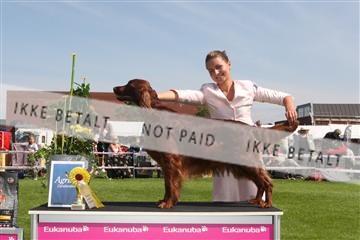 130370_se_02_IMG_6255.JPG