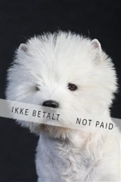 132082_le_ 01_IMG_0416.JPG