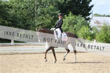156196_nn_01_IMG_6503.JPG