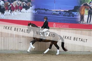 181887_mtp_01_R62_6889.JPG