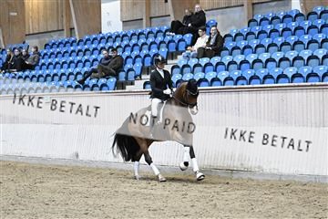 182241_kbb_01_Z094682.JPG