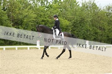 139835_sg_01_IMG_7308.JPG