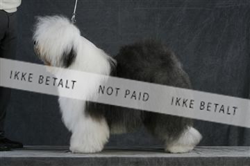 5493_sme _02__MG_9700.JPG