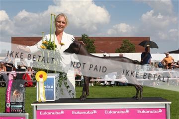 130370_se_03_IMG_7679.JPG