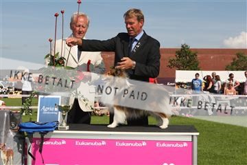 130370_se_03_IMG_7778.JPG