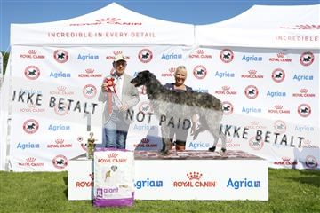 181564_kar_01__62_8150.JPG