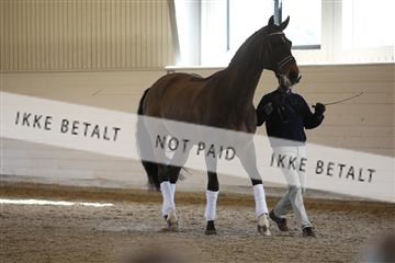 139266_kl_1_8M1Q7248.JPG