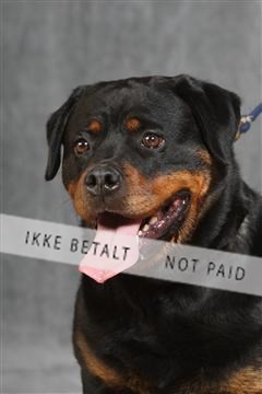 130054_le_ 03_0116.JPG