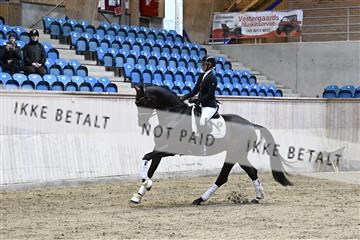 182241_kbb_01_Z094209.JPG