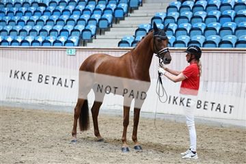 181887_mtp_05_R62_9785.JPG