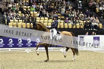 182194_kbb_03_Z091587.JPG
