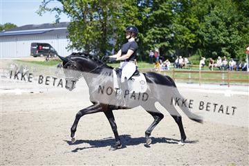 181449_kbb_01_6II9327.JPG