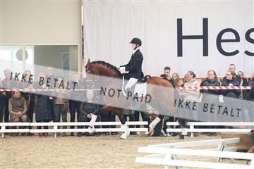 174363_kbb_01_R6II8128.JPG