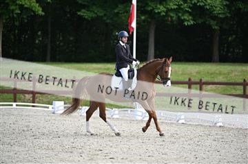 176255_mtp_01_Z09_0008.JPG
