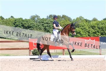 181449_bc_01R62_5823.JPG