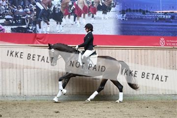 181887_mtp_02_R62_7600.JPG