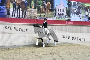 182241_kbb_01_Z093045.JPG
