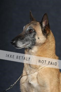 132082_le_ 01_IMG_0861.JPG