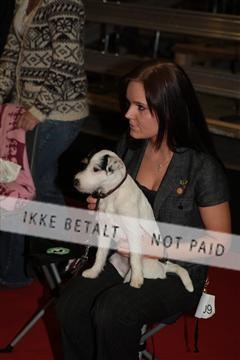 126827_tl_02_IMG_2871.JPG