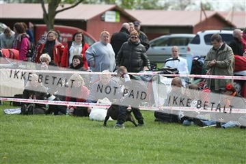 134871_ms_04_IMG_0290.JPG
