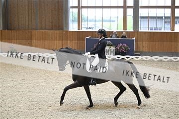 182176_kbb_01_Z094053.JPG