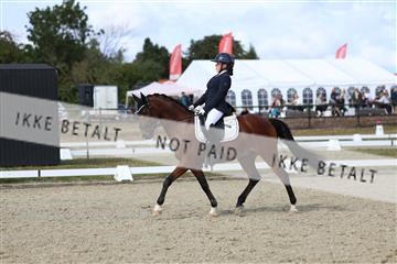 181894_mtp_05_R62_4734.JPG