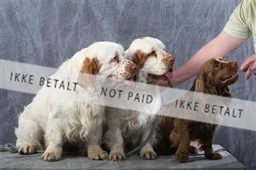 129608_le_ 01_0708.JPG